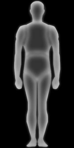 Body Zones
