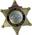 Sheriff's Badge