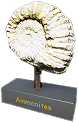 Fossil