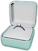 Max's Diamond ring