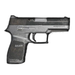 P250