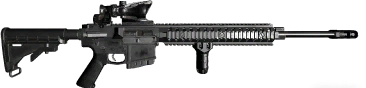 AR308 7.62x51mm Designated marksman rifle ACOG edition