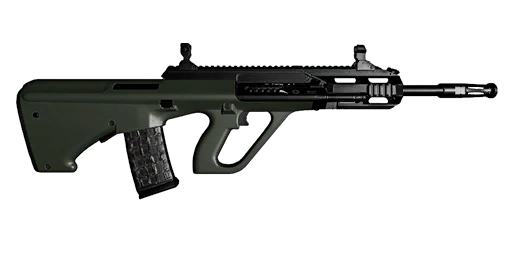 AUG A3 RIS