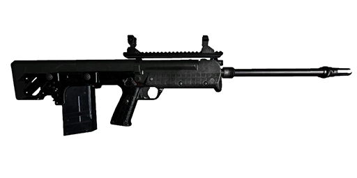 RFB 7.62x51mm battle rifle
